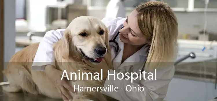 Animal Hospital Hamersville - Ohio