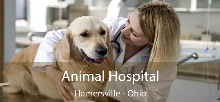 Animal Hospital Hamersville - Ohio