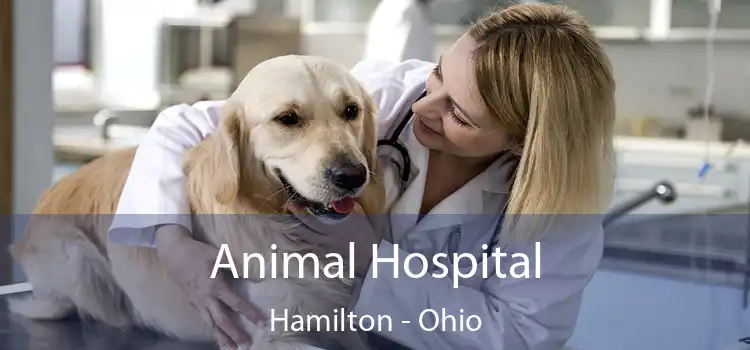 Animal Hospital Hamilton - Ohio