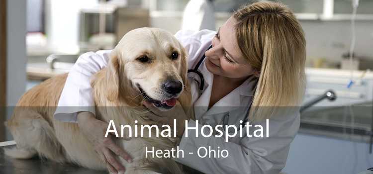 Animal Hospital Heath - Ohio