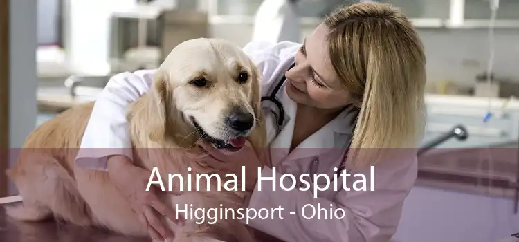 Animal Hospital Higginsport - Ohio