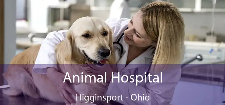 Animal Hospital Higginsport - Ohio