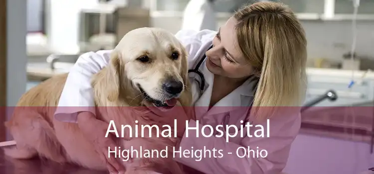 Animal Hospital Highland Heights - Ohio