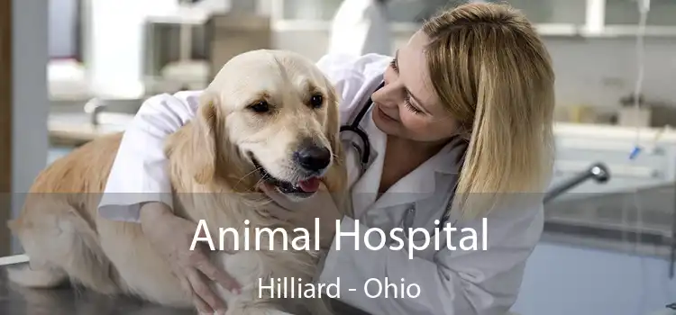 Animal Hospital Hilliard - Ohio