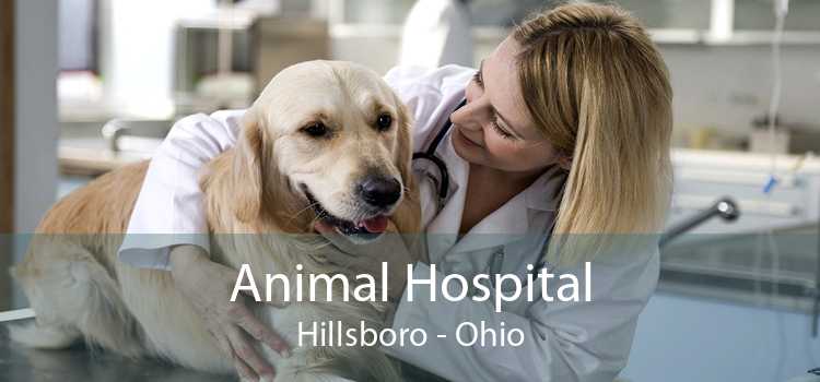 Animal Hospital Hillsboro - Ohio