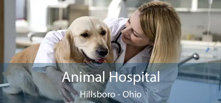 Animal Hospital Hillsboro - Ohio