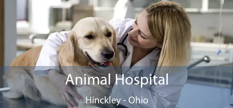 Animal Hospital Hinckley - Ohio