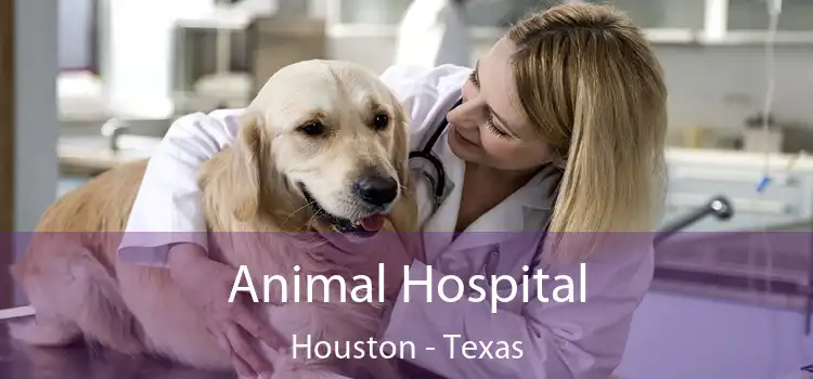 Animal Hospital Houston - Texas