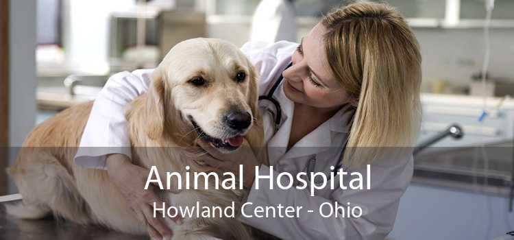 Animal Hospital Howland Center - Ohio