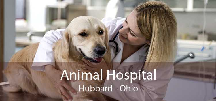 Animal Hospital Hubbard - Ohio