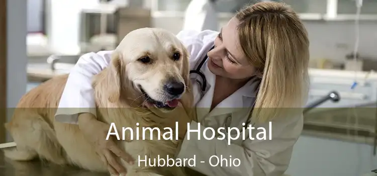 Animal Hospital Hubbard - Ohio