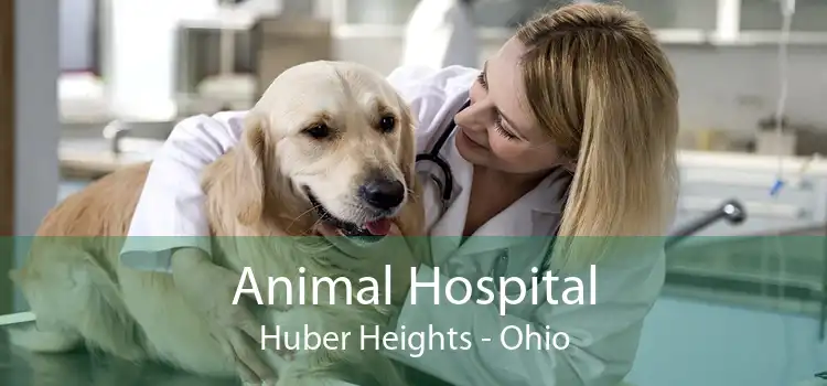 Animal Hospital Huber Heights - Ohio