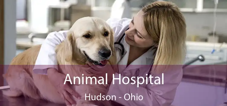 Animal Hospital Hudson - Ohio