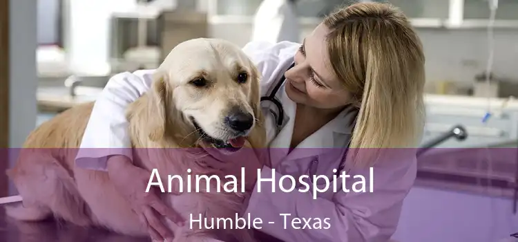 Animal Hospital Humble - Texas