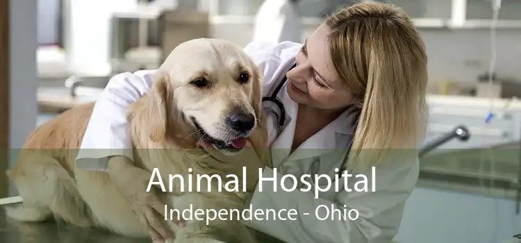 Animal Hospital Independence - Ohio