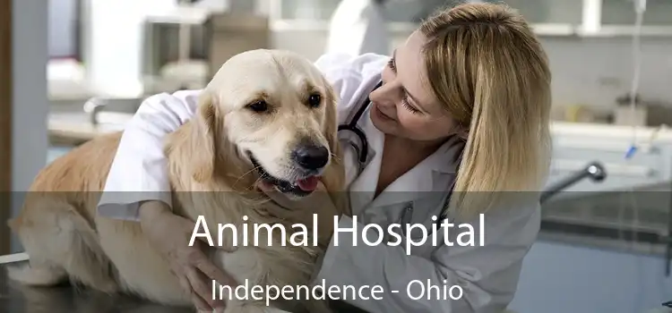 Animal Hospital Independence - Ohio