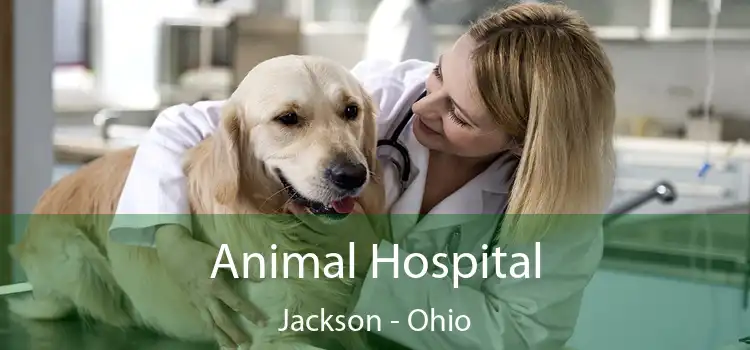 Animal Hospital Jackson - Ohio