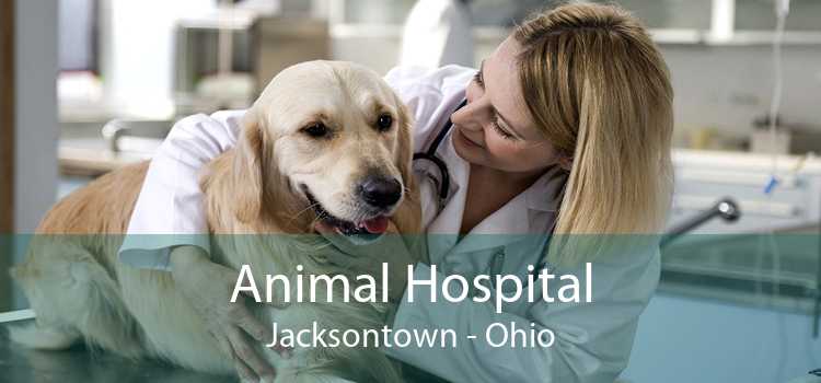 Animal Hospital Jacksontown - Ohio