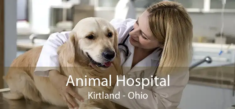 Animal Hospital Kirtland - Ohio