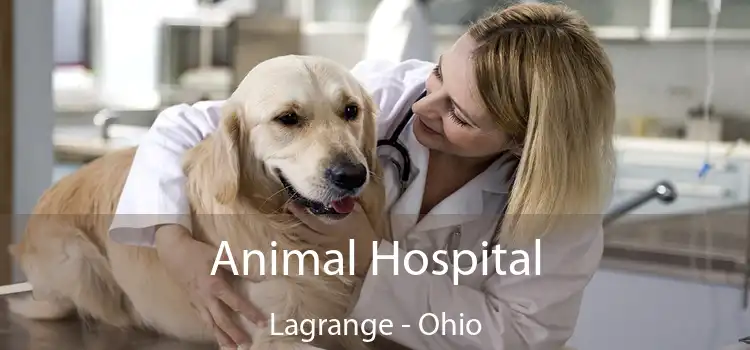 Animal Hospital Lagrange - Ohio