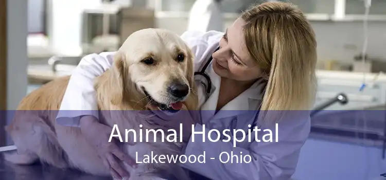 Animal Hospital Lakewood - Ohio