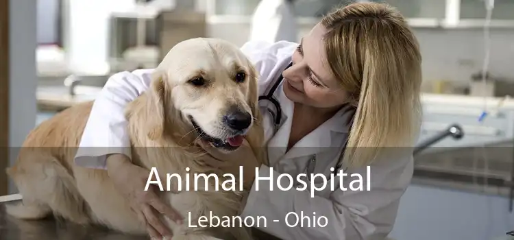 Animal Hospital Lebanon - Ohio