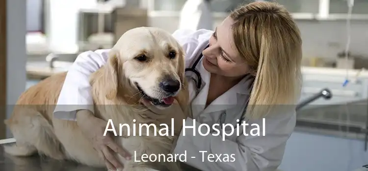 Animal Hospital Leonard - Texas