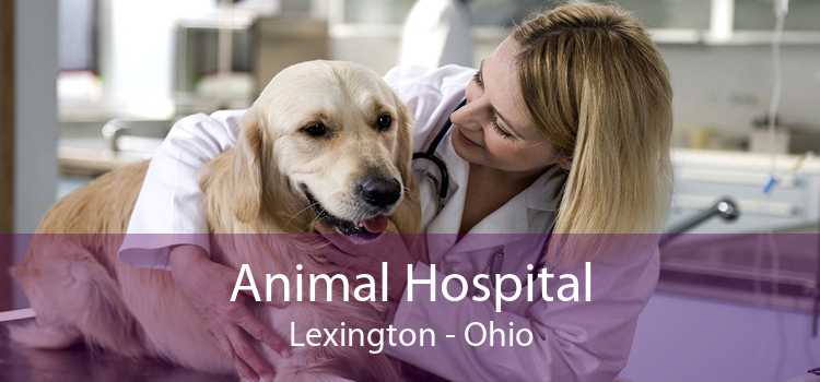 Animal Hospital Lexington - Ohio