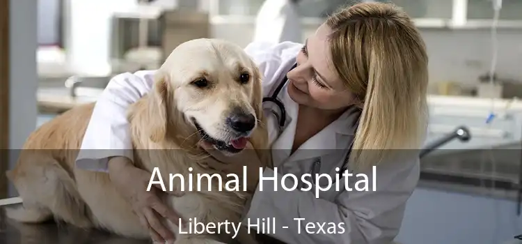 Animal Hospital Liberty Hill - Texas
