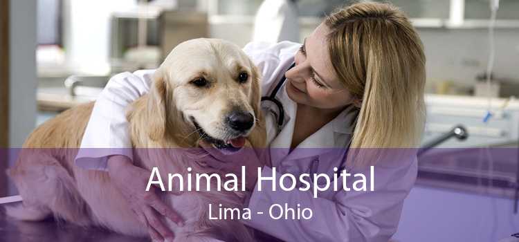 Animal Hospital Lima - Ohio