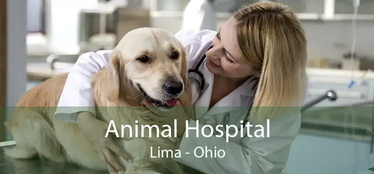 Animal Hospital Lima - Ohio