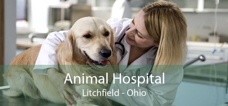 Animal Hospital Litchfield - Ohio