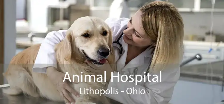 Animal Hospital Lithopolis - Ohio