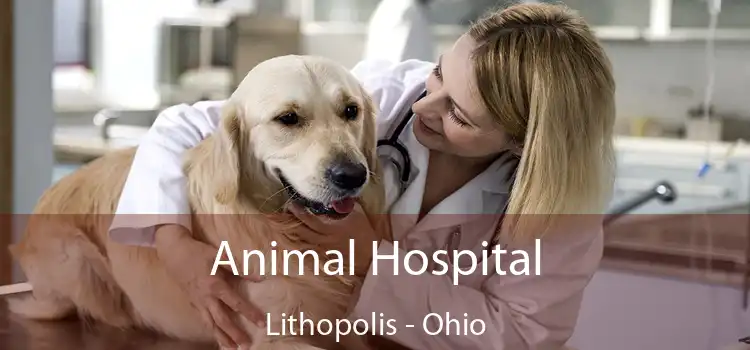 Animal Hospital Lithopolis - Ohio