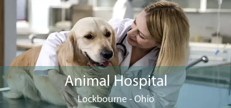 Animal Hospital Lockbourne - Ohio