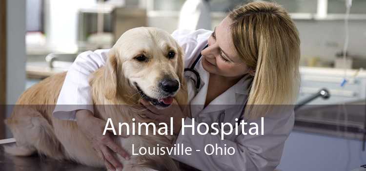 Animal Hospital Louisville - Ohio