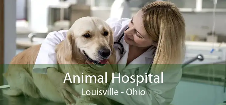 Animal Hospital Louisville - Ohio