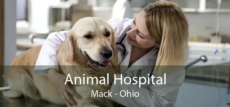Animal Hospital Mack - Ohio