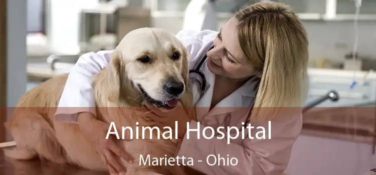 Animal Hospital Marietta - Ohio