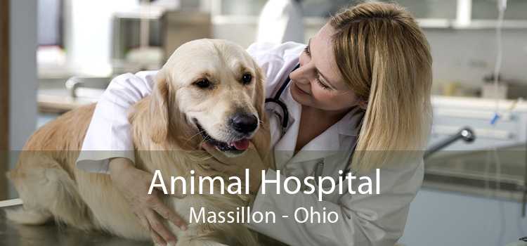 Animal Hospital Massillon - Ohio