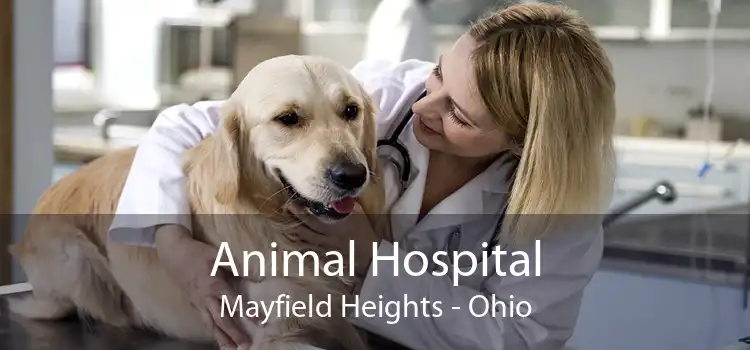 Animal Hospital Mayfield Heights - Ohio