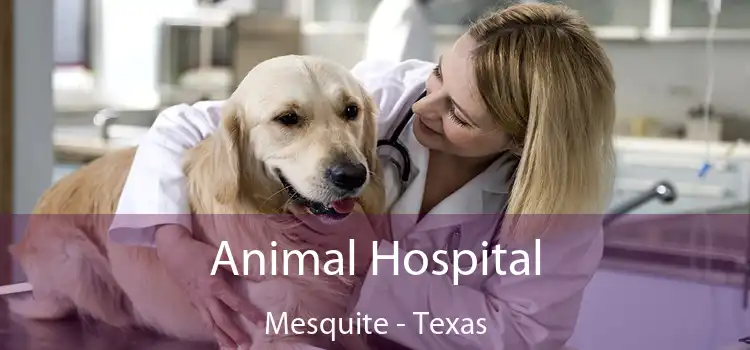 Animal Hospital Mesquite - Texas