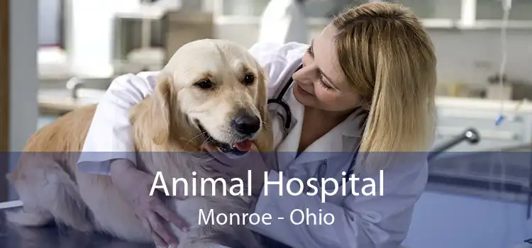 Animal Hospital Monroe - Ohio