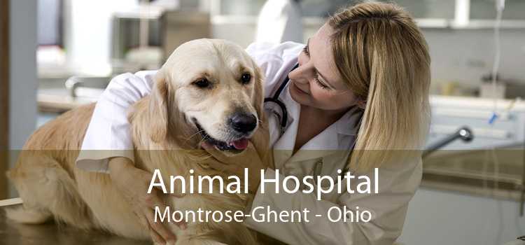 Animal Hospital Montrose-Ghent - Ohio