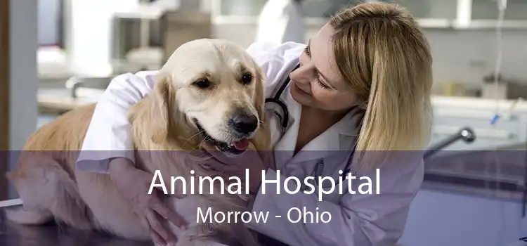 Animal Hospital Morrow - Ohio