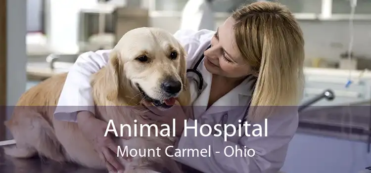 Animal Hospital Mount Carmel - Ohio