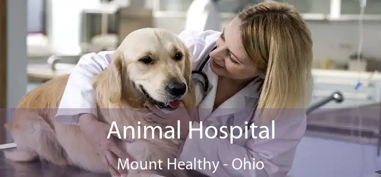 Animal Hospital Mount Healthy - Ohio