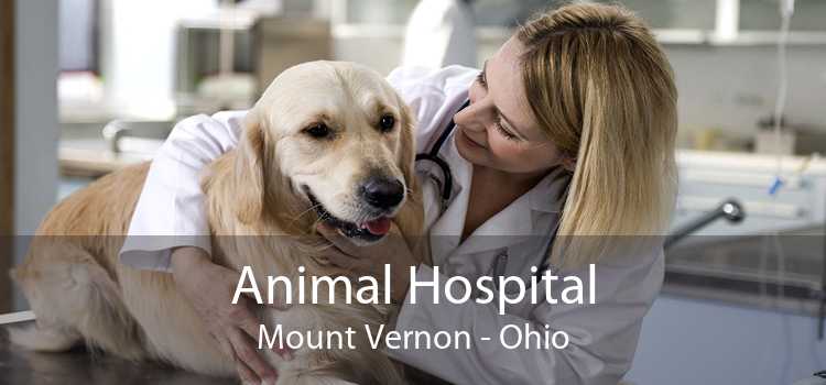 Animal Hospital Mount Vernon - Ohio