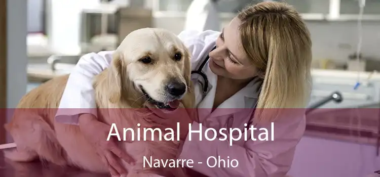 Animal Hospital Navarre - Ohio