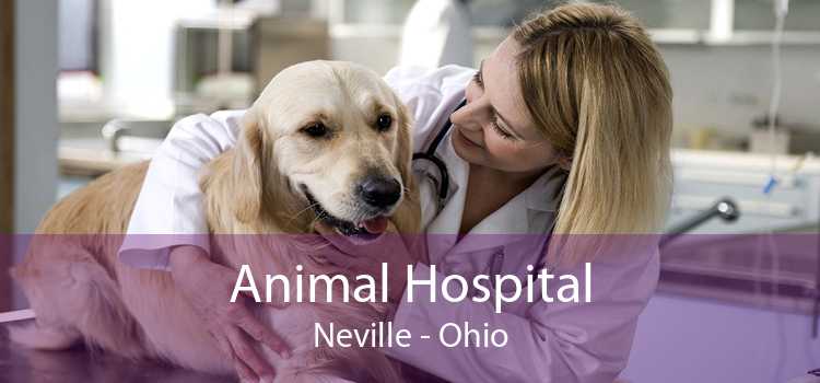 Animal Hospital Neville - Ohio